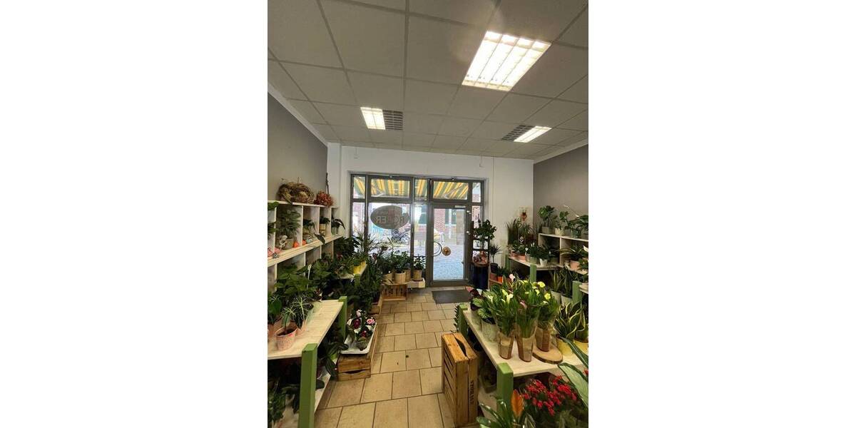 Gewerbeobjekt Stralsund Altstadt - 2 Zimmer, 1.290&euro; | Angebot:25733237