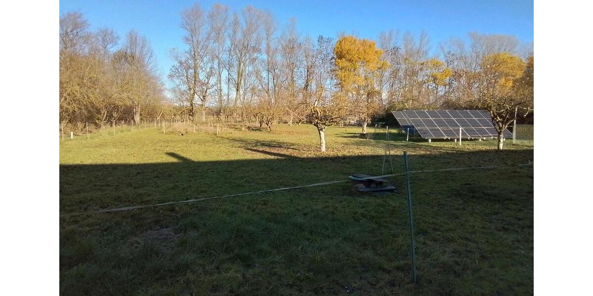 Doppelhaushälfte Neuenkirchen - 7 Zimmer, 277 m&sup2;, 430.000&euro; | Angebot:25316736