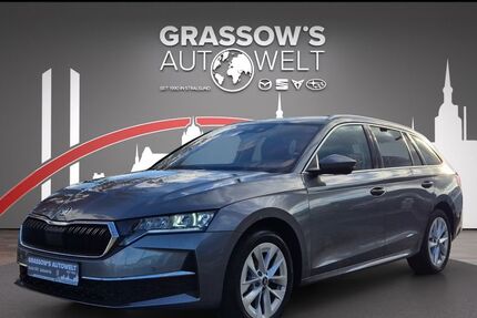 Skoda Octavia 6.500 km 32.490 &euro; Stralsund-Langendorf 18442