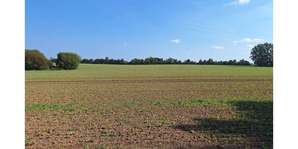 Einfamilienhaus Süderholz-Neuendorf Neuendorf - 4 Zimmer, 79 m&sup2;, 198.000&euro; | Angebot:25727432