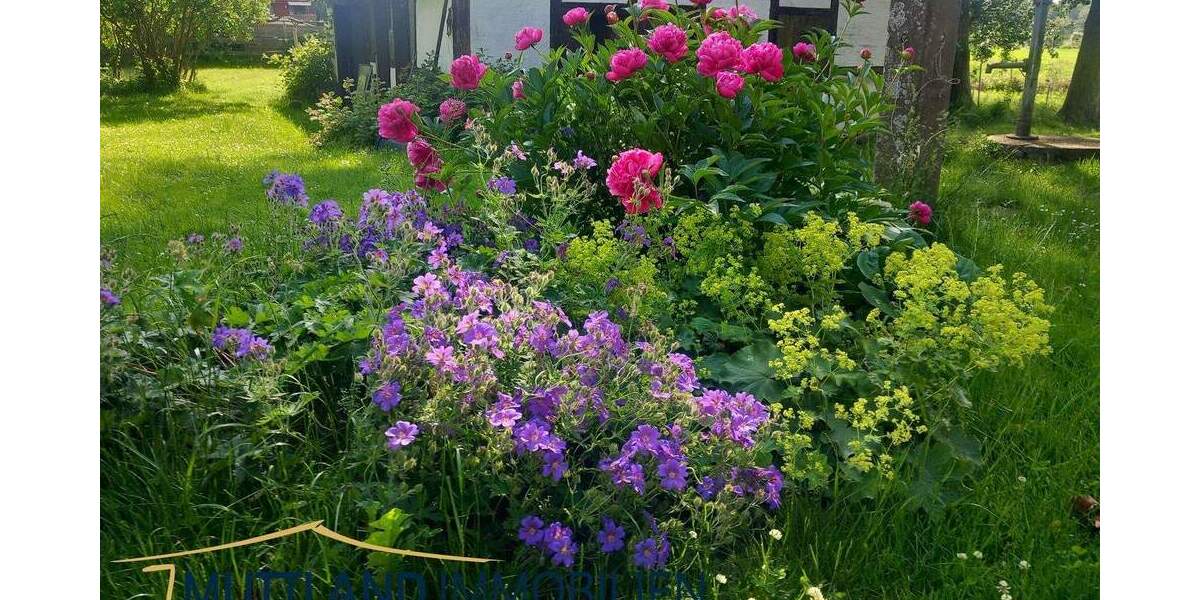 Mehrfamilienhaus, Wohnhaus Neuenkirchen - 9 Zimmer, 430 m&sup2;, 1.156.000&euro; | Angebot:25666287