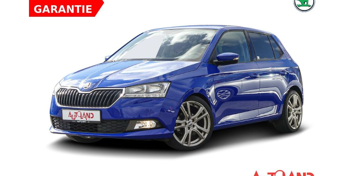 Skoda Fabia 39.302 km 13.950 &euro; Stralsund 18437